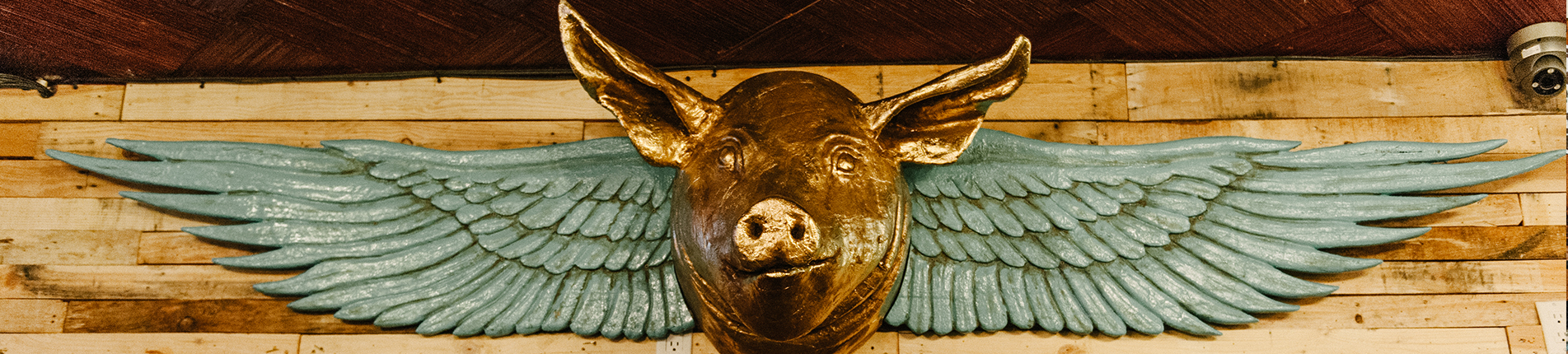 A photograph of a pig with wings